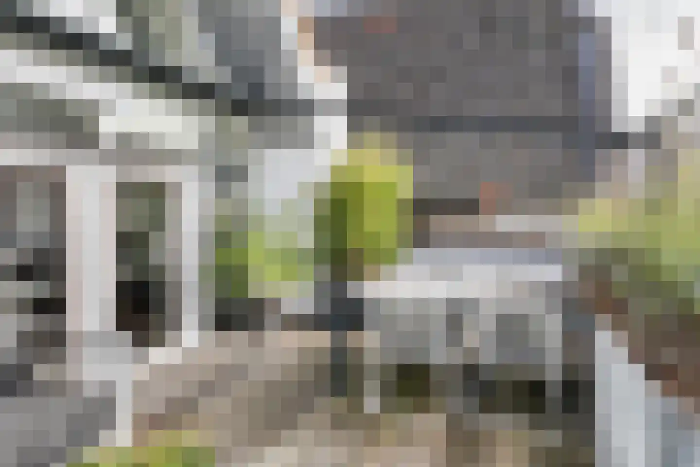 Kruisstraat 16 's-Hertogenbosch thumbnail 29