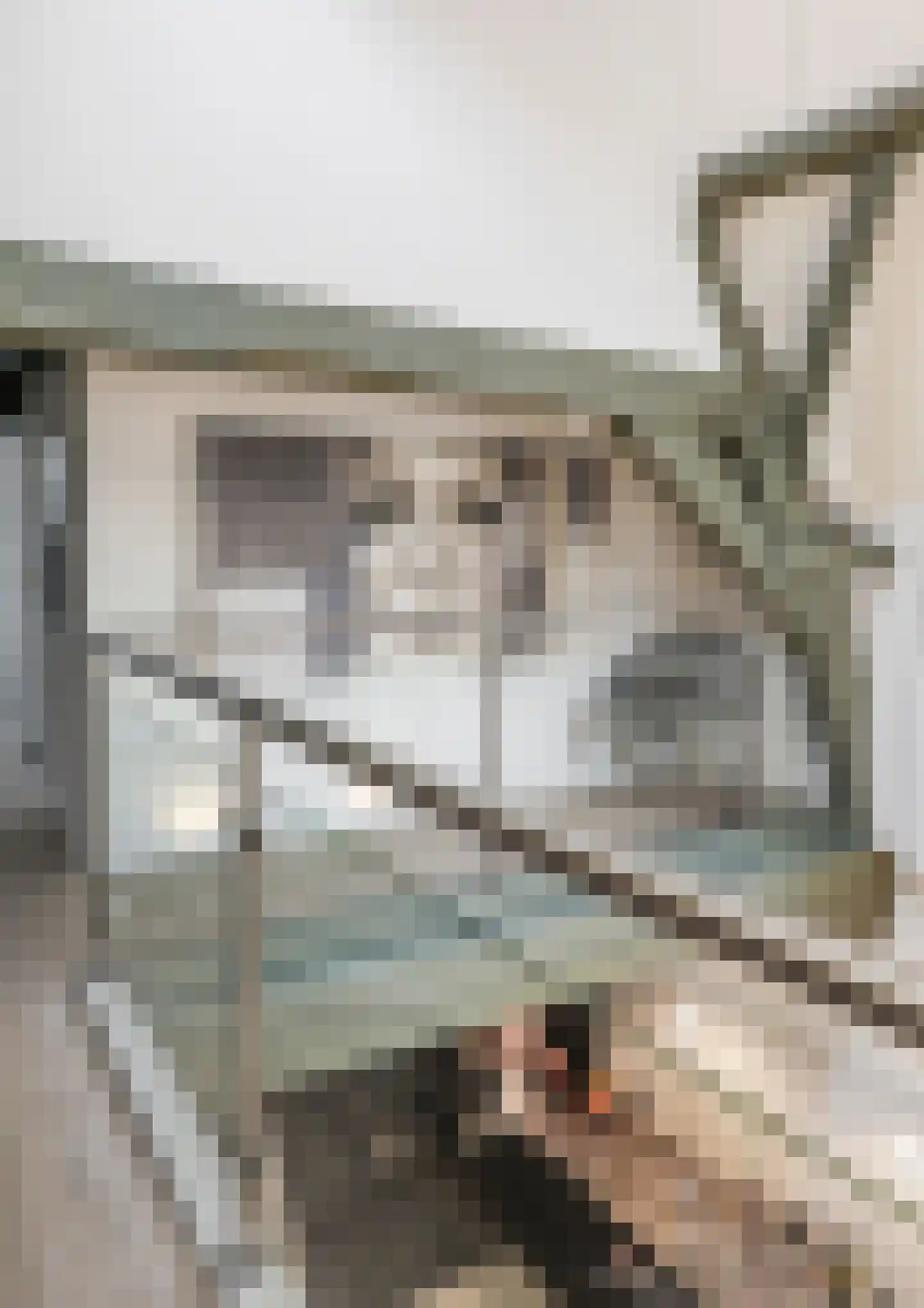 Kruisstraat 16 's-Hertogenbosch thumbnail 30