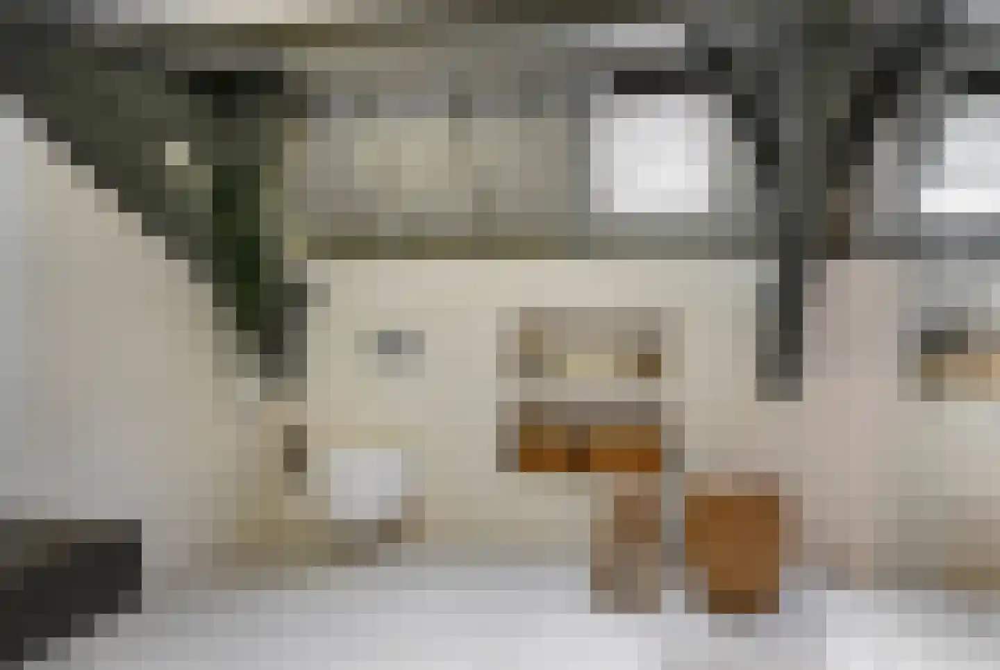 Kruisstraat 16 's-Hertogenbosch thumbnail 32