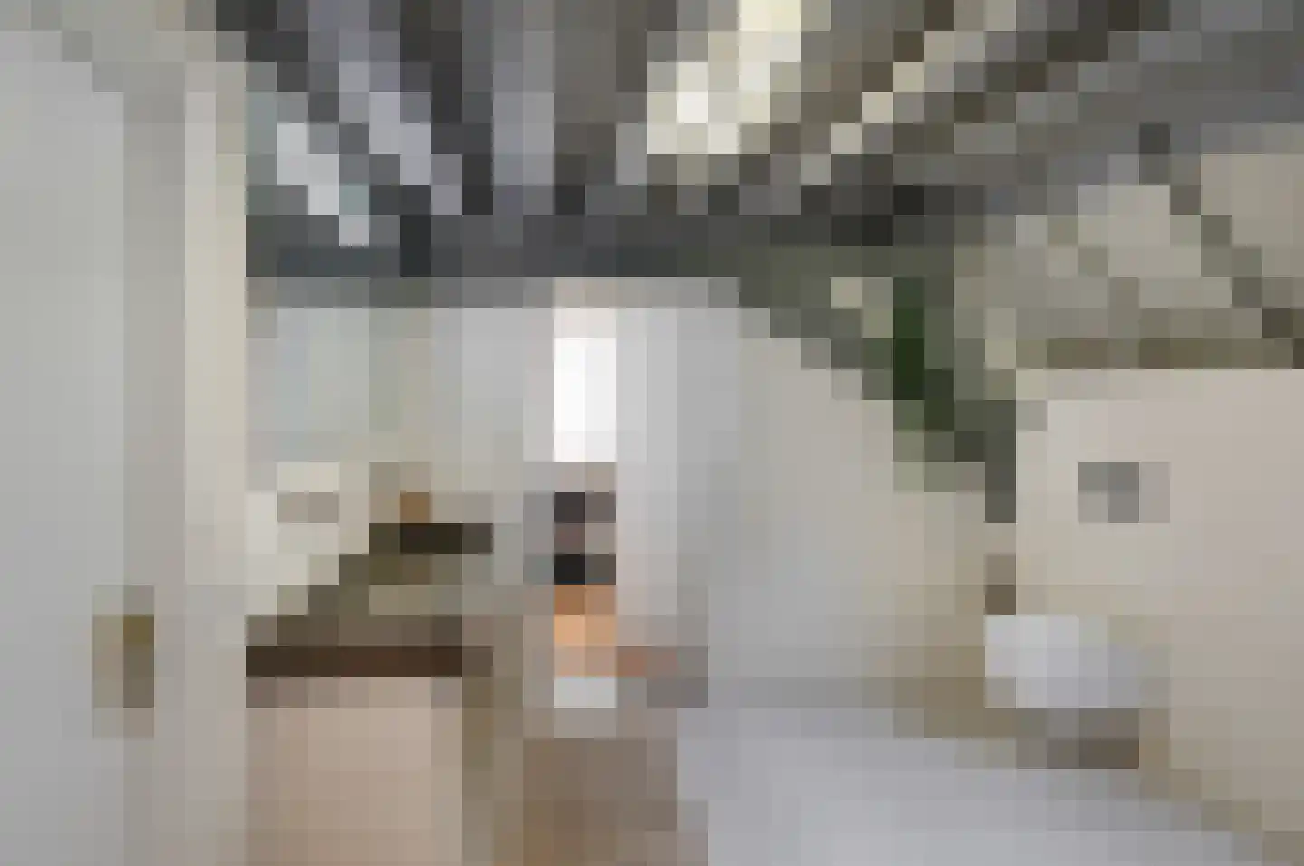 Kruisstraat 16 's-Hertogenbosch thumbnail 34