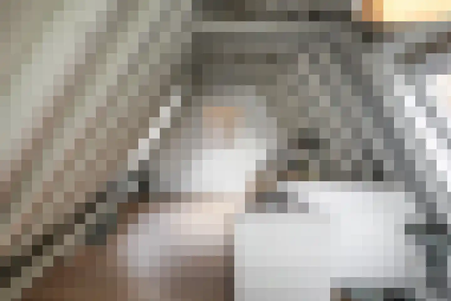 Kruisstraat 16 's-Hertogenbosch thumbnail 37