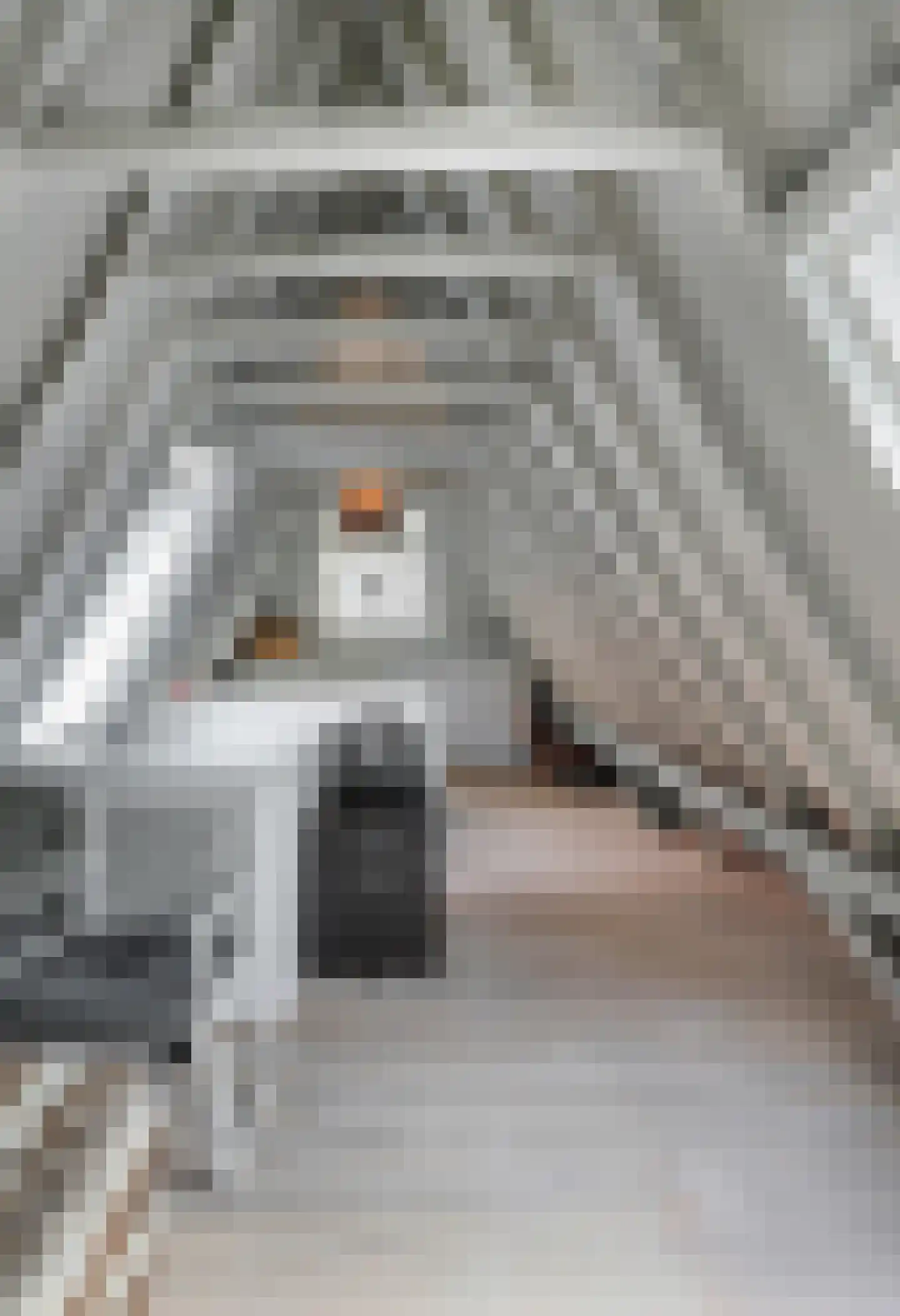 Kruisstraat 16 's-Hertogenbosch thumbnail 38