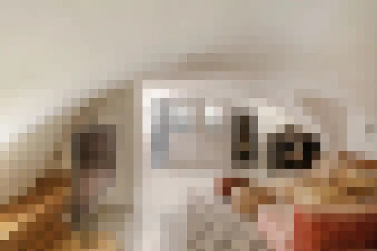 Kruisstraat 16 's-Hertogenbosch thumbnail 51