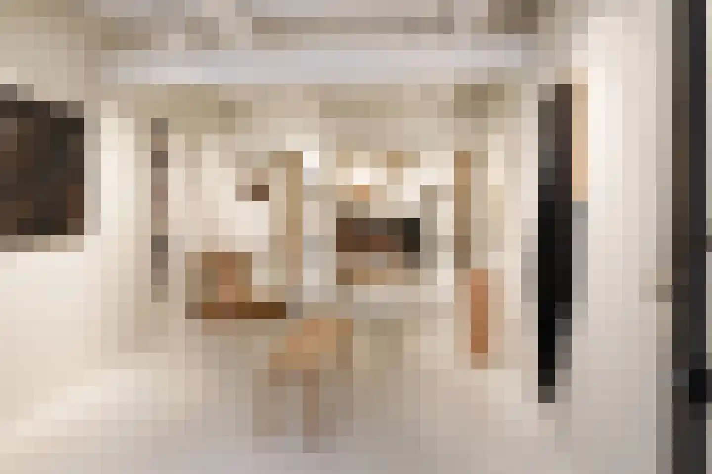 Kruisstraat 16 's-Hertogenbosch thumbnail 63
