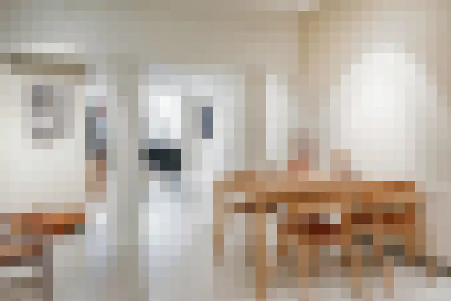 Kruisstraat 16 's-Hertogenbosch thumbnail 64