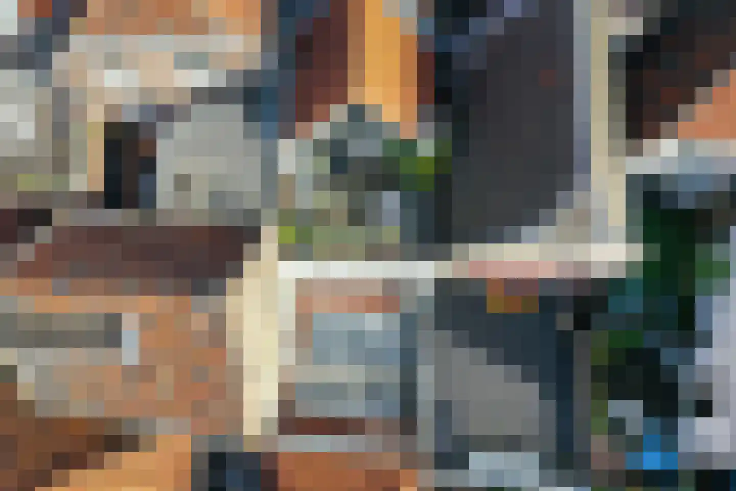 Kruisstraat 16 's-Hertogenbosch thumbnail 69