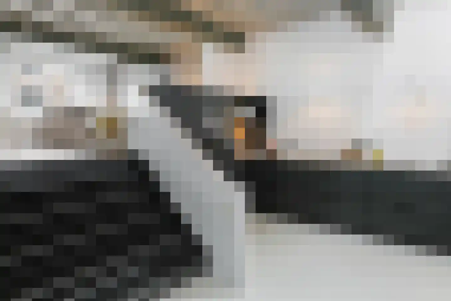 Kruisstraat 16 's-Hertogenbosch thumbnail 9
