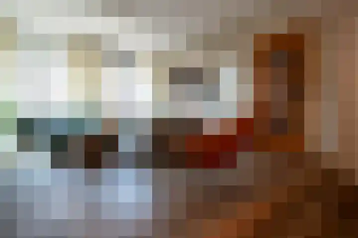 Kruisstraat 16 Stein thumbnail 11