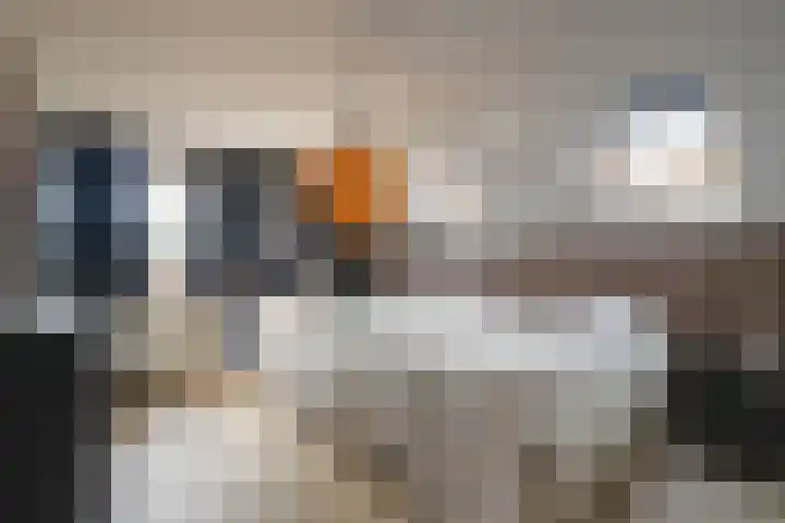 Kruisstraat 16 Stein thumbnail 15