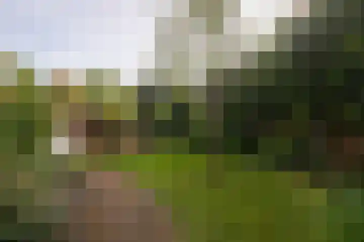 Kruisstraat 16 Stein thumbnail 21