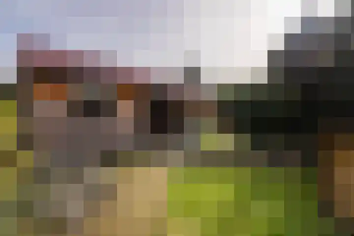 Kruisstraat 16 Stein thumbnail 23