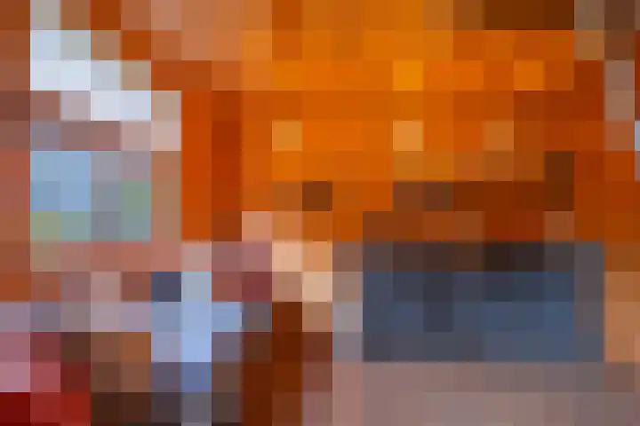 Kruisstraat 16 Stein thumbnail 25