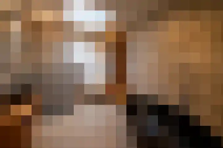 Kruisstraat 16 Stein thumbnail 8