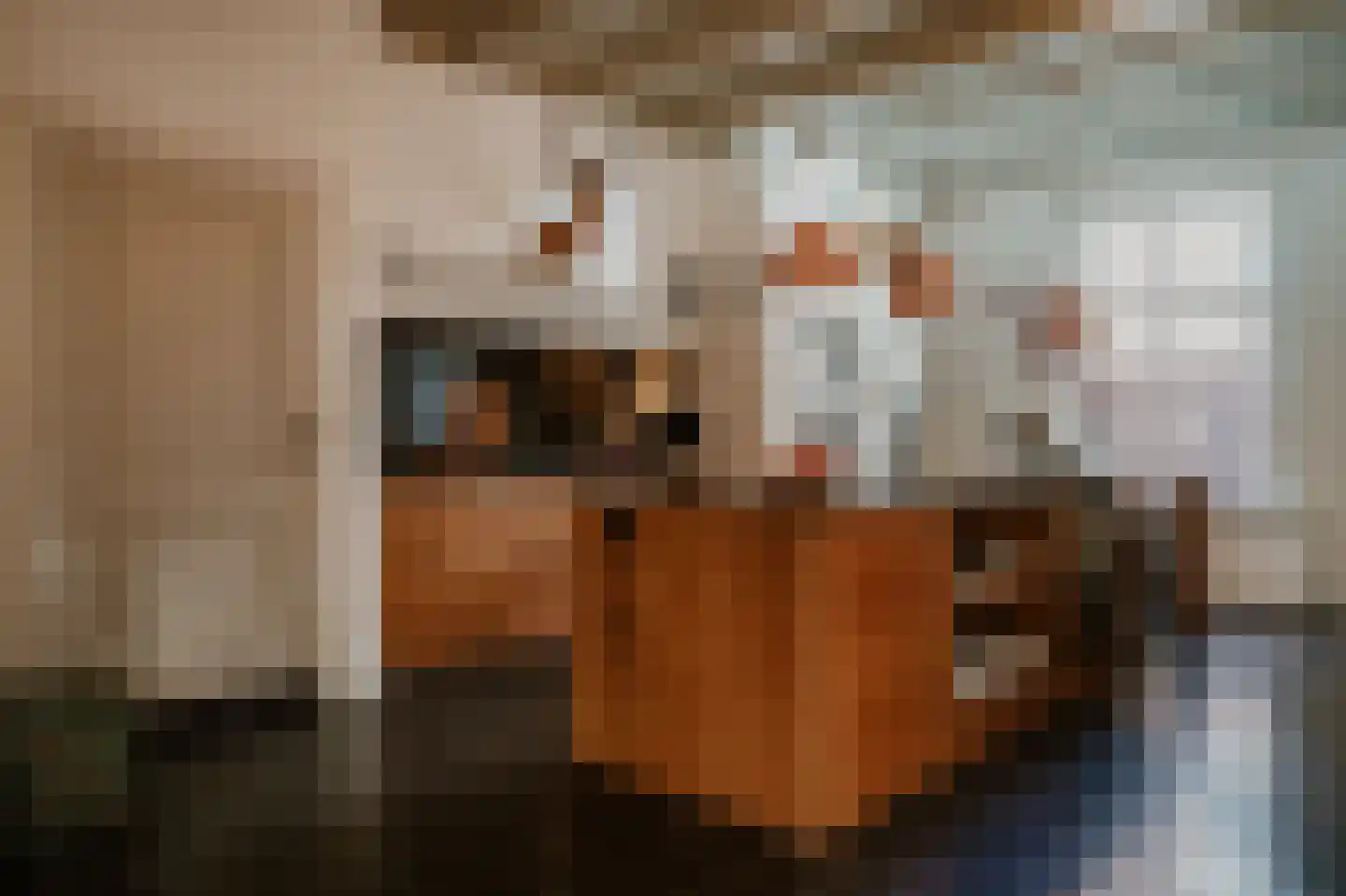 Kruisstraat 17 Almkerk thumbnail 17
