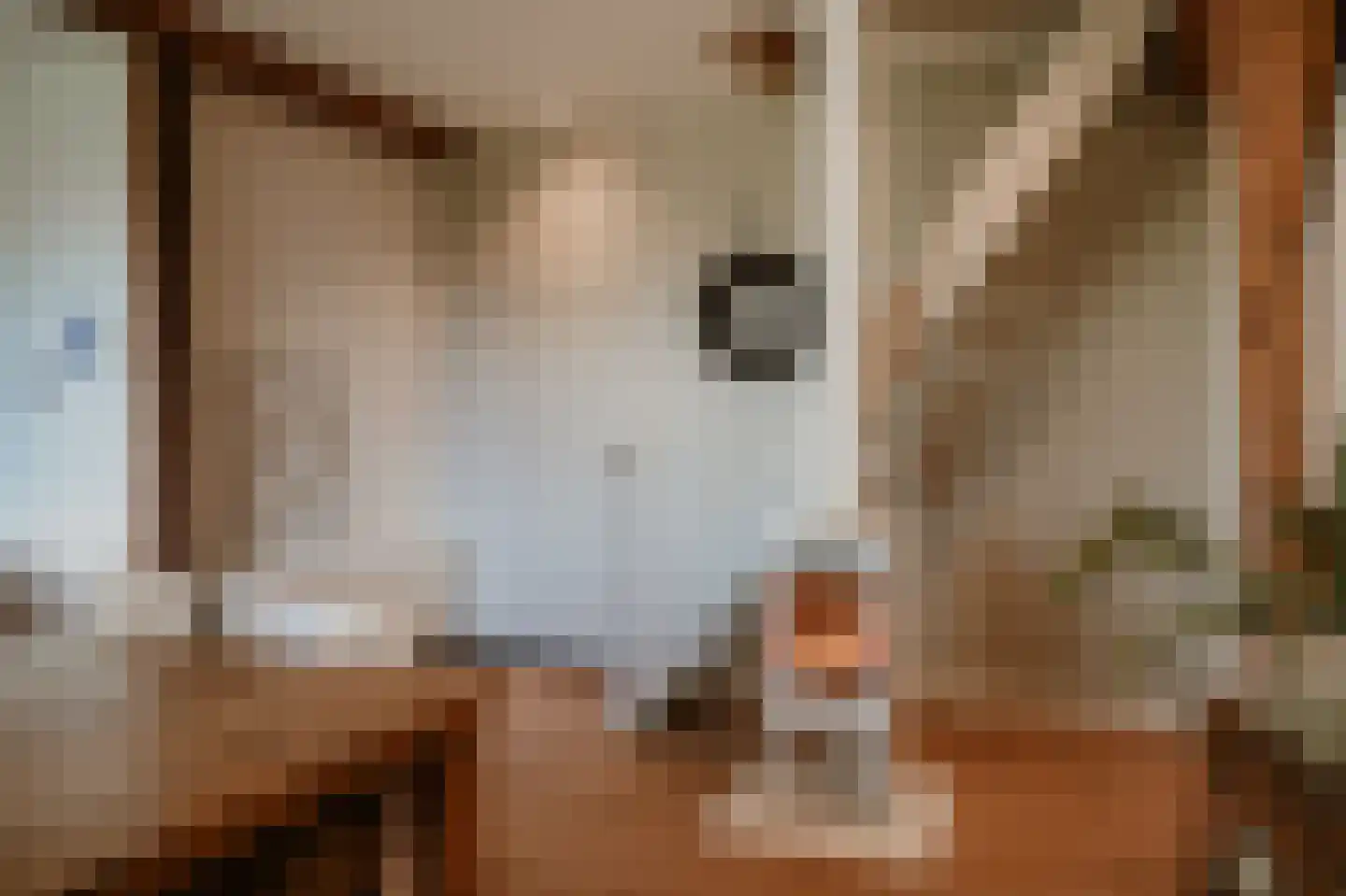 Kruisstraat 17 Almkerk thumbnail 24