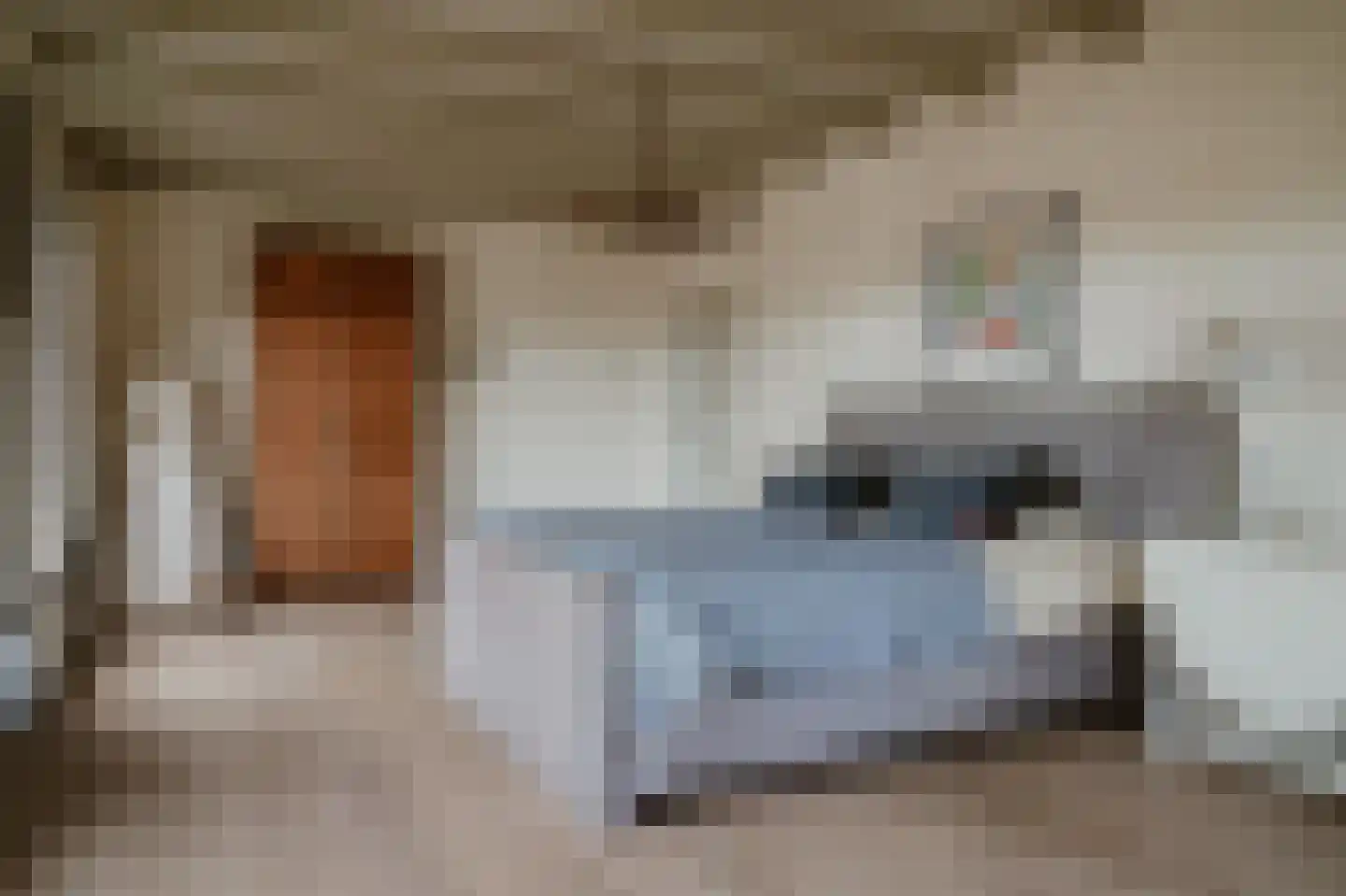 Kruisstraat 17 Almkerk thumbnail 30