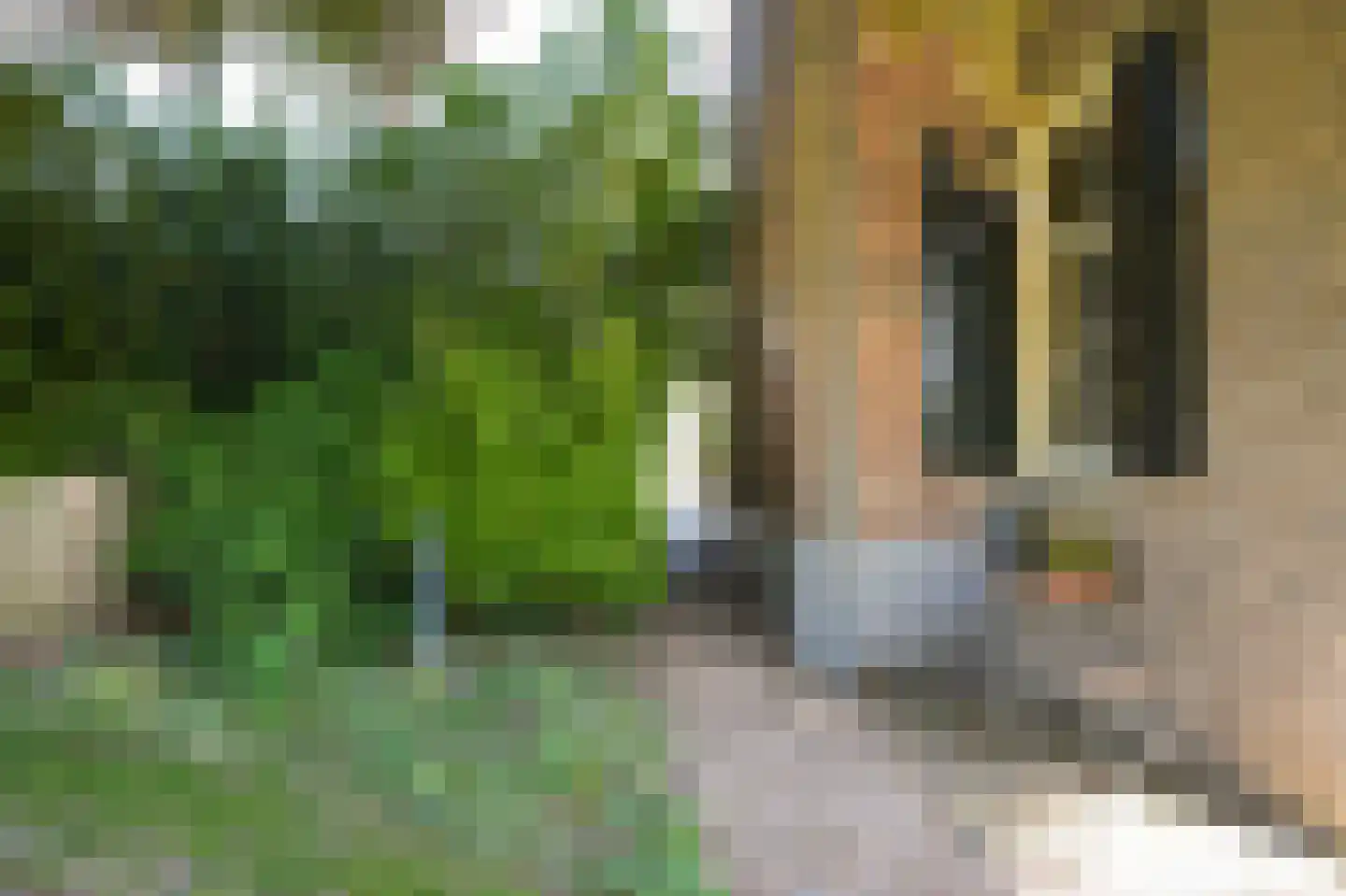 Kruisstraat 17 Almkerk thumbnail 53