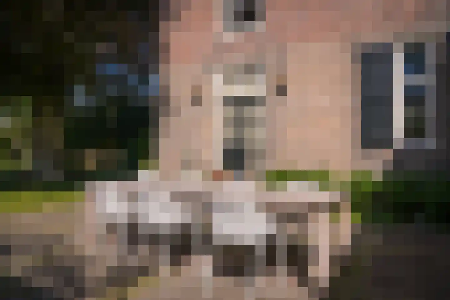 Kruisstraat 17 Almkerk thumbnail 55