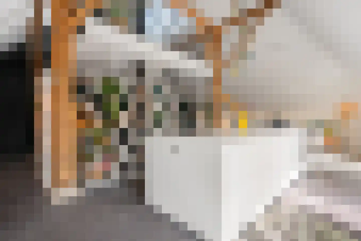 Kruisstraat 17 Oldemarkt thumbnail 28