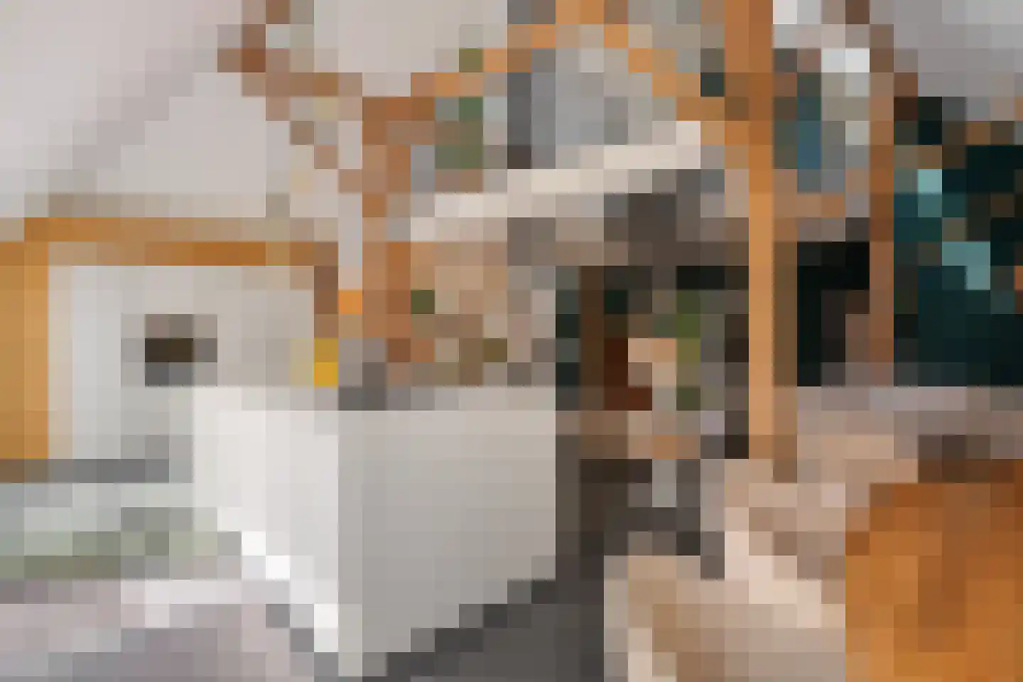 Kruisstraat 17 Oldemarkt thumbnail 30