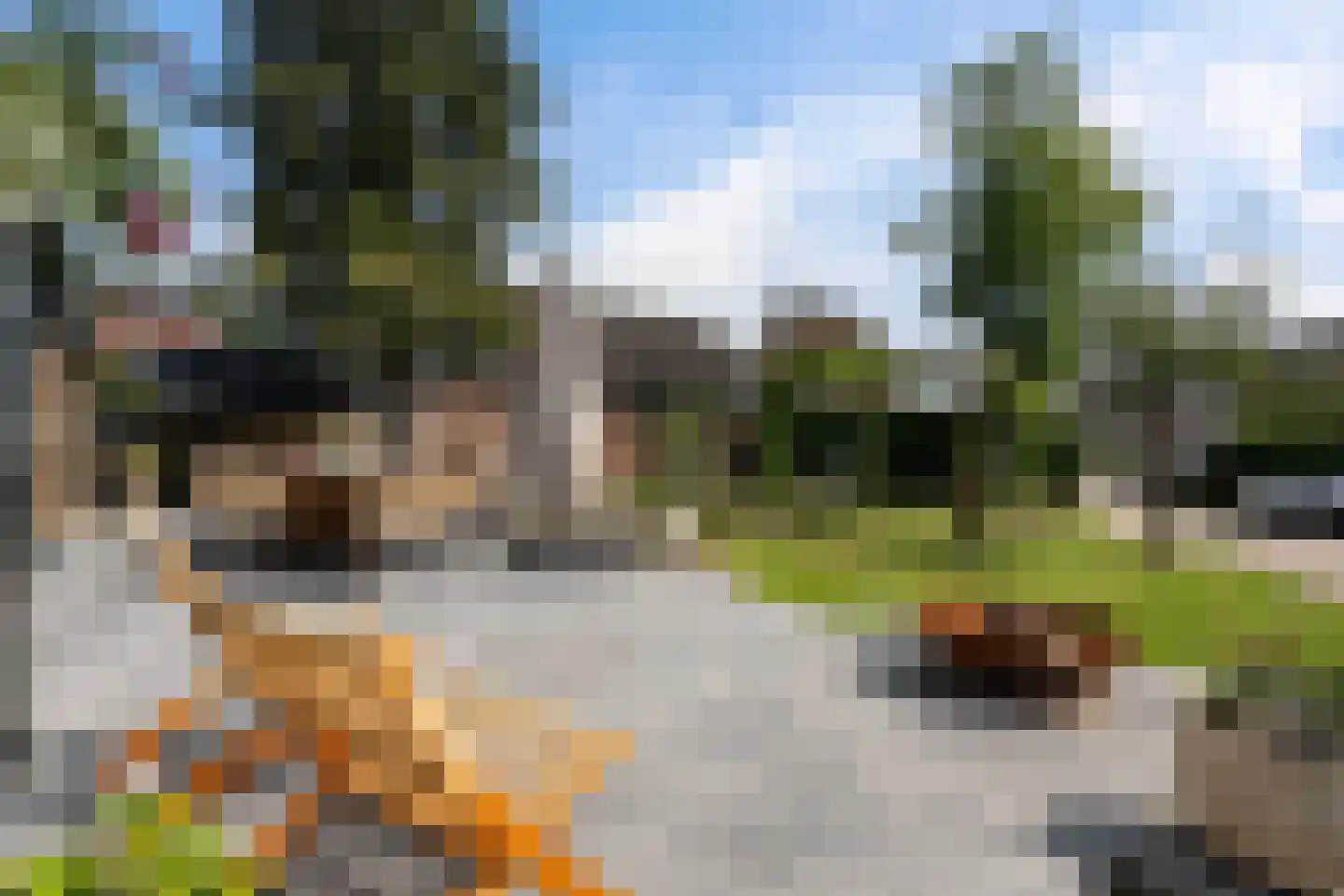 Kruisstraat 17 Oldemarkt thumbnail 68