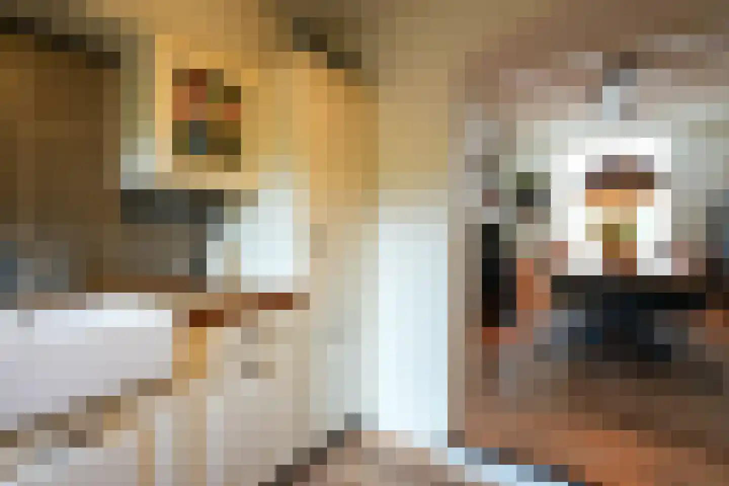 Kruisstraat 18 A Valkenburg thumbnail 19