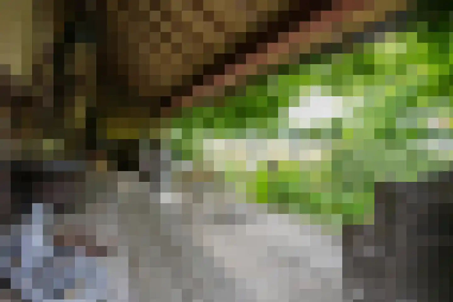 Kruisstraat 18 A Valkenburg thumbnail 39