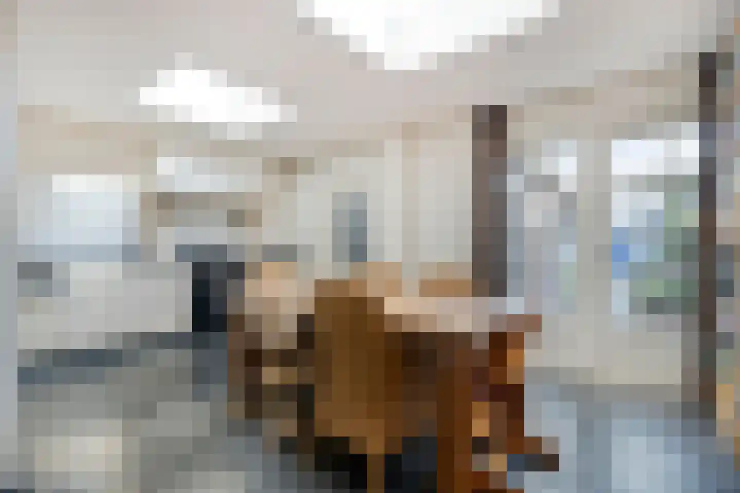 Kruisstraat 19 Lage Zwaluwe thumbnail 15