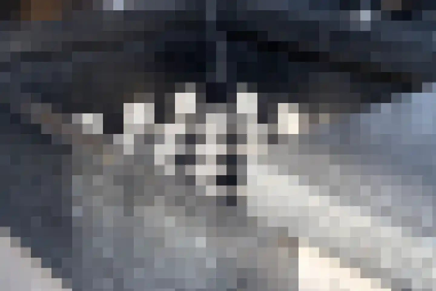 Kruisstraat 19 Lage Zwaluwe thumbnail 22