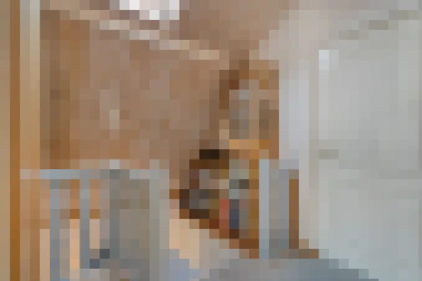 Kruisstraat 19 Lage Zwaluwe thumbnail 30