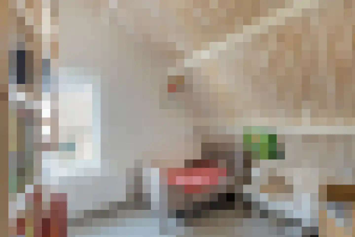 Kruisstraat 19 Lage Zwaluwe thumbnail 38