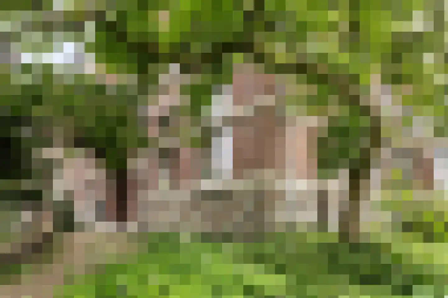 Kruisstraat 2 B Heerlen thumbnail 23
