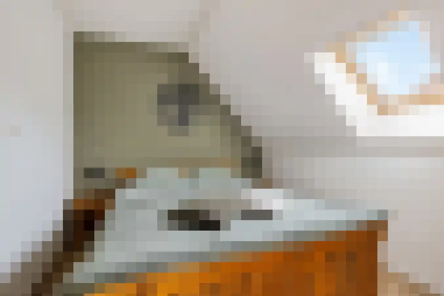 Kruisstraat 2 c Diever thumbnail 26
