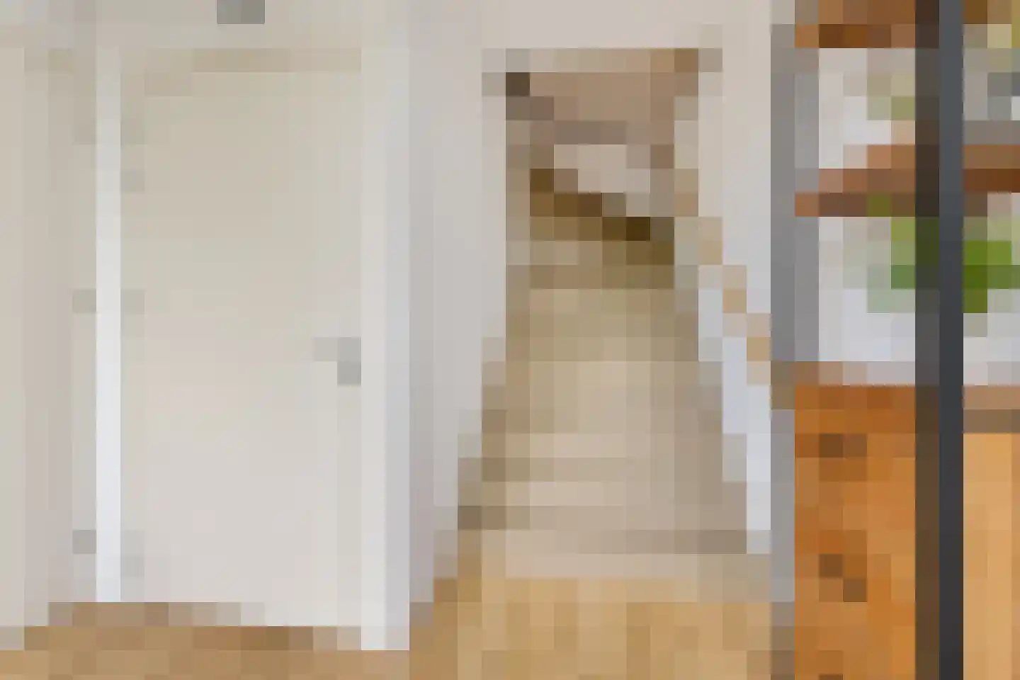 Kruisstraat 2 c Diever thumbnail 32
