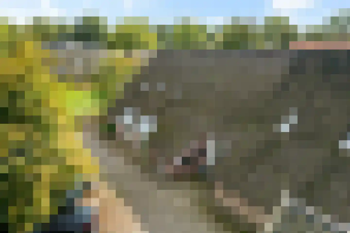 Kruisstraat 2 c Diever thumbnail 38