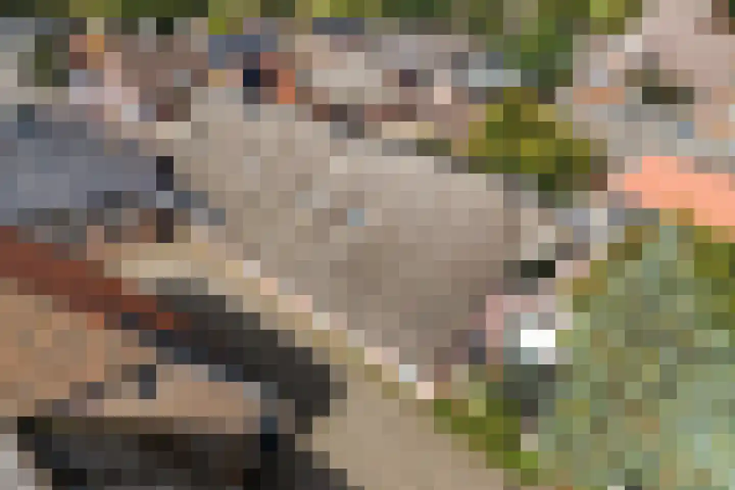 Kruisstraat 2 c Diever thumbnail 40
