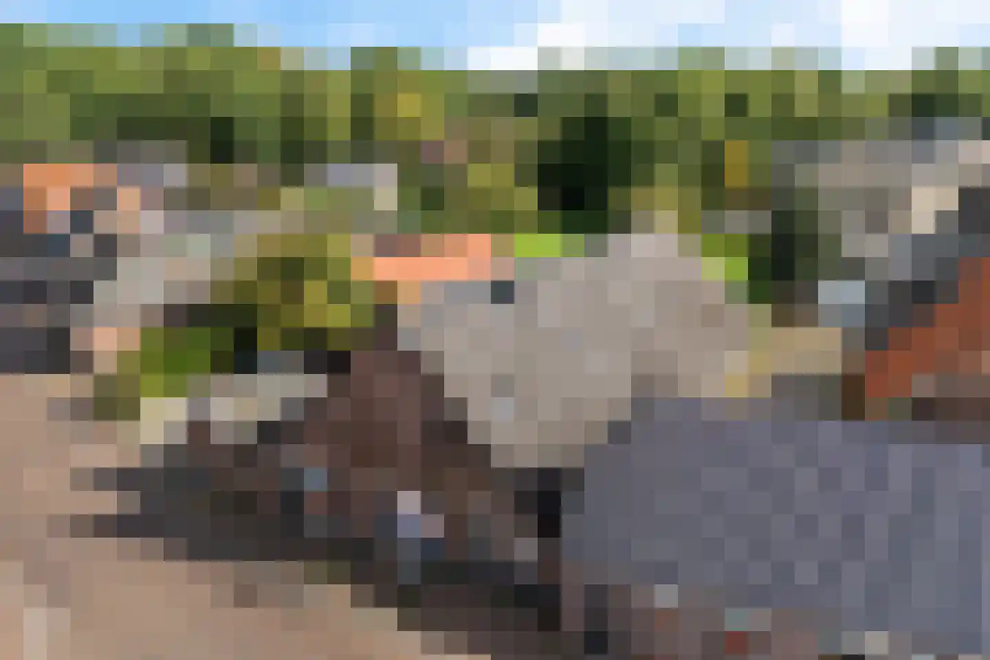 Kruisstraat 2 c Diever thumbnail 42