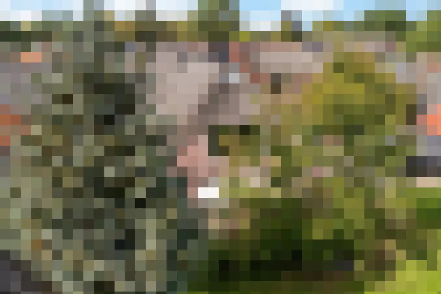 Kruisstraat 2 c Diever thumbnail 43