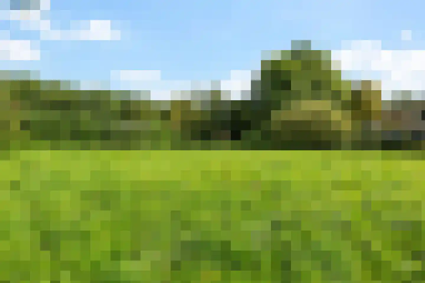 Kruisstraat 2 c Diever thumbnail 46