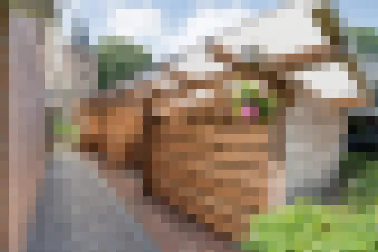 Kruisstraat 2 Dalen thumbnail 11