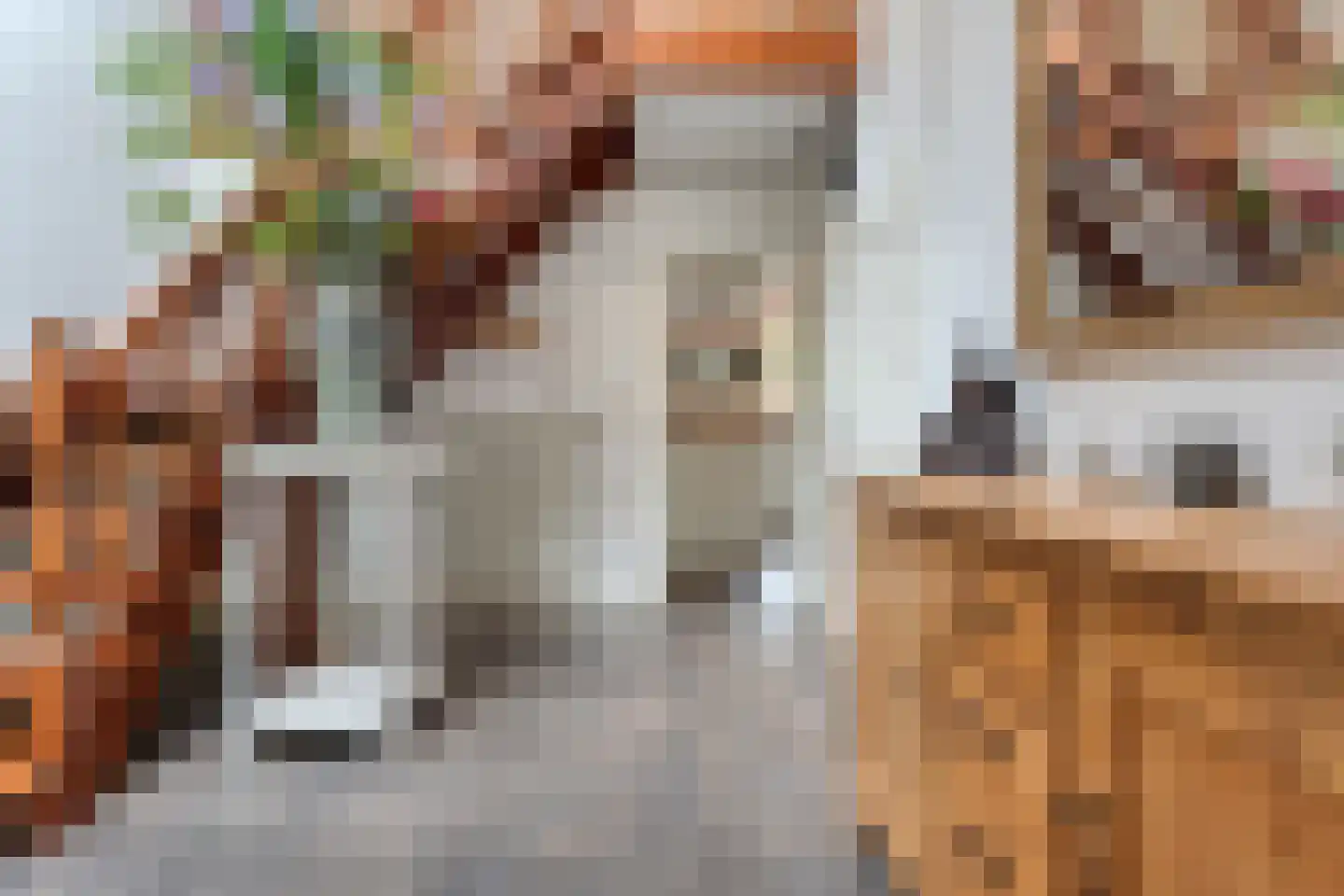 Kruisstraat 2 Dalen thumbnail 18