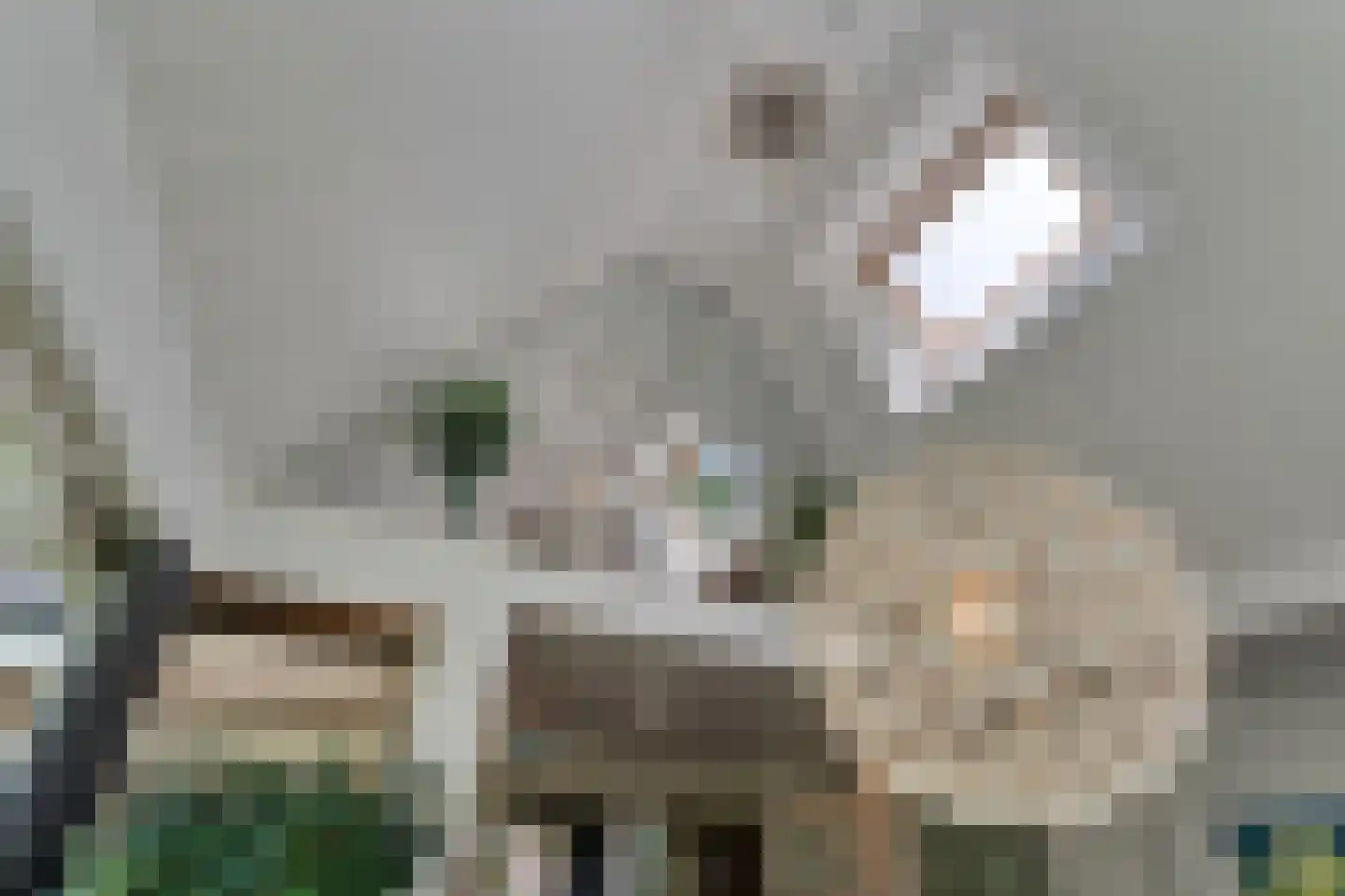 Kruisstraat 2 Dalen thumbnail 25