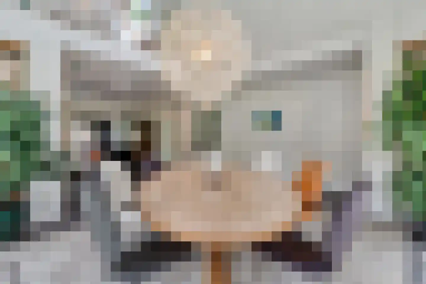 Kruisstraat 2 Dalen thumbnail 26