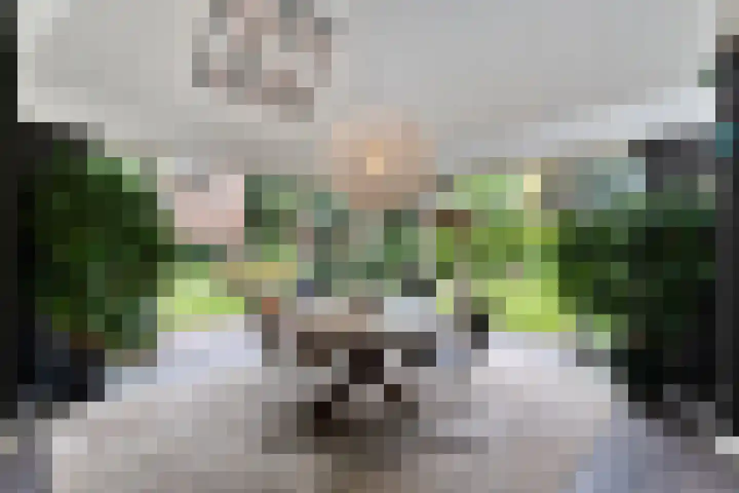 Kruisstraat 2 Dalen thumbnail 27