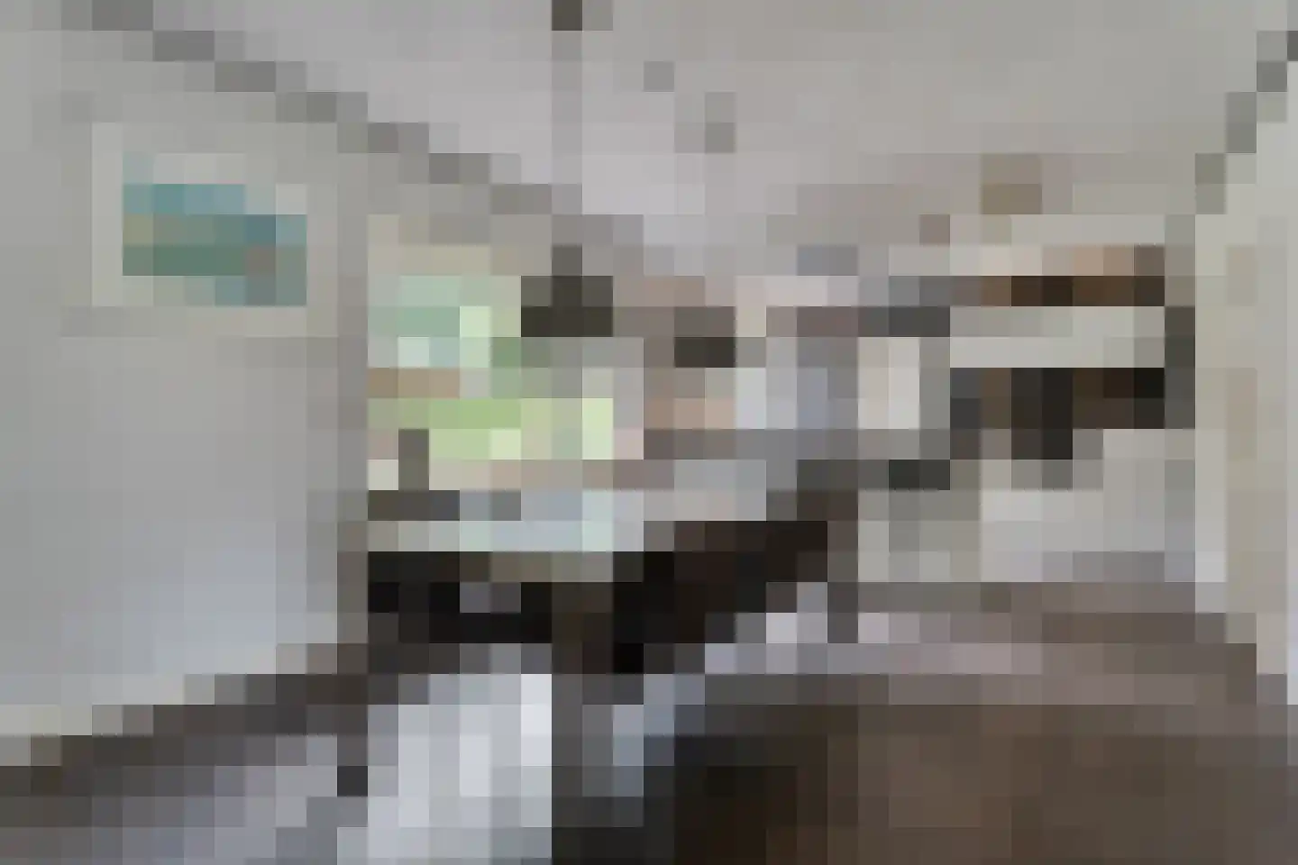 Kruisstraat 2 Dalen thumbnail 31