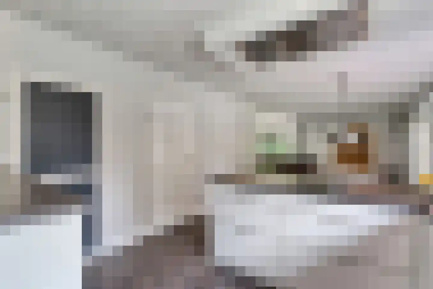 Kruisstraat 2 Dalen thumbnail 37