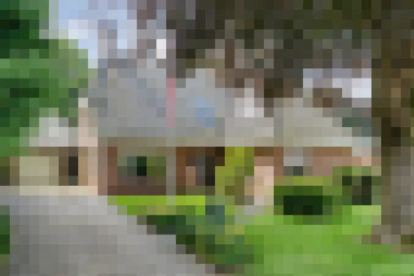Kruisstraat 2 Dalen thumbnail 4