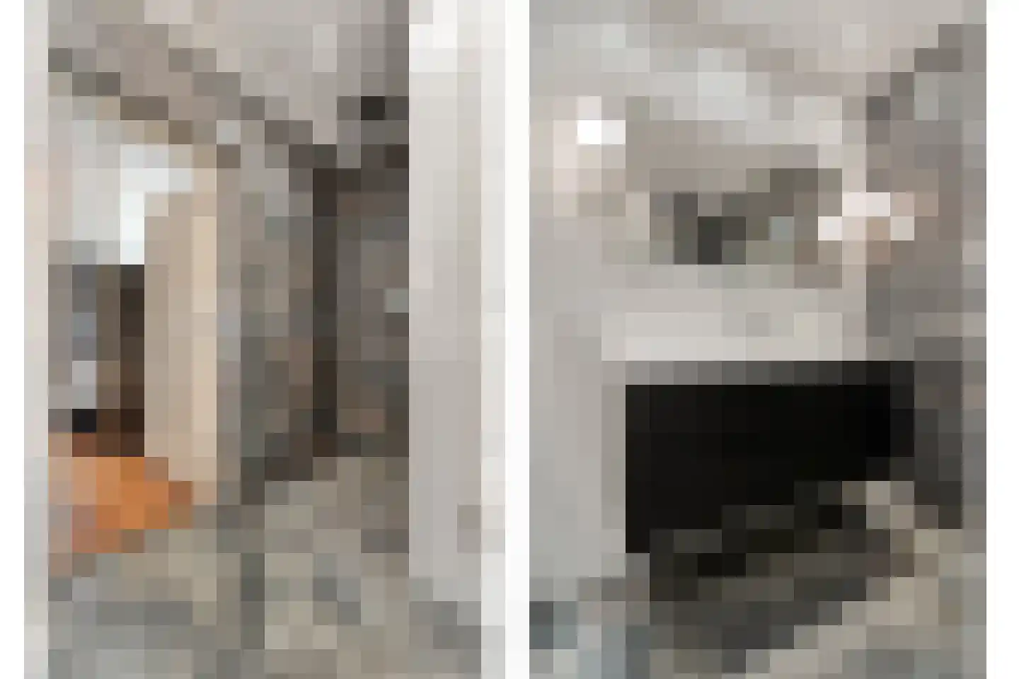 Kruisstraat 2 Dalen thumbnail 48