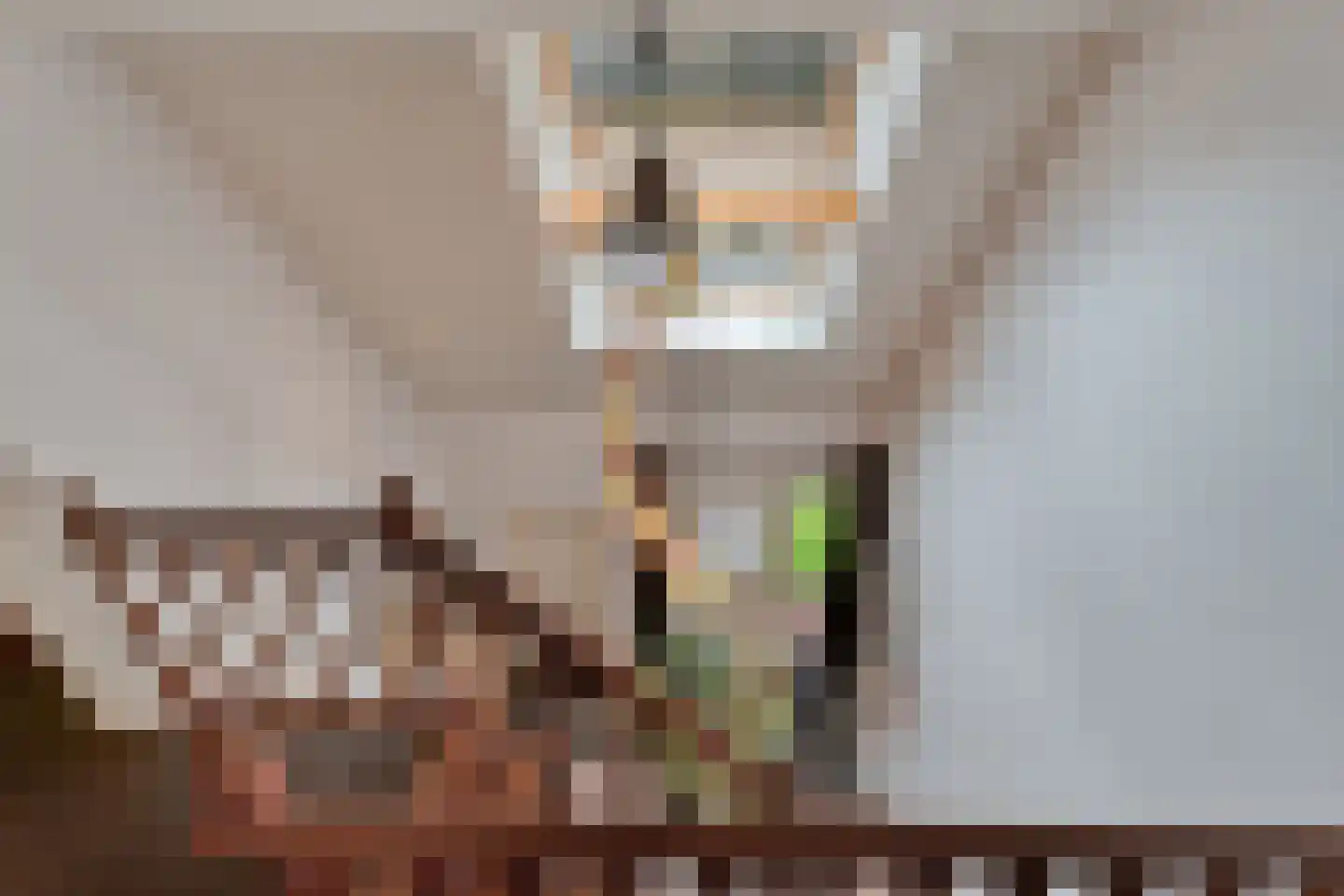 Kruisstraat 2 Dalen thumbnail 55