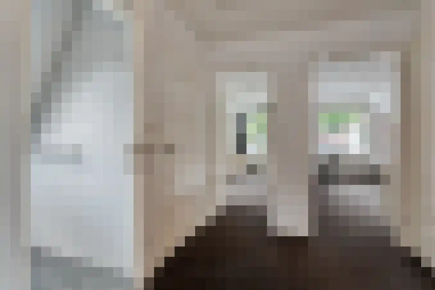 Kruisstraat 2 Dalen thumbnail 57